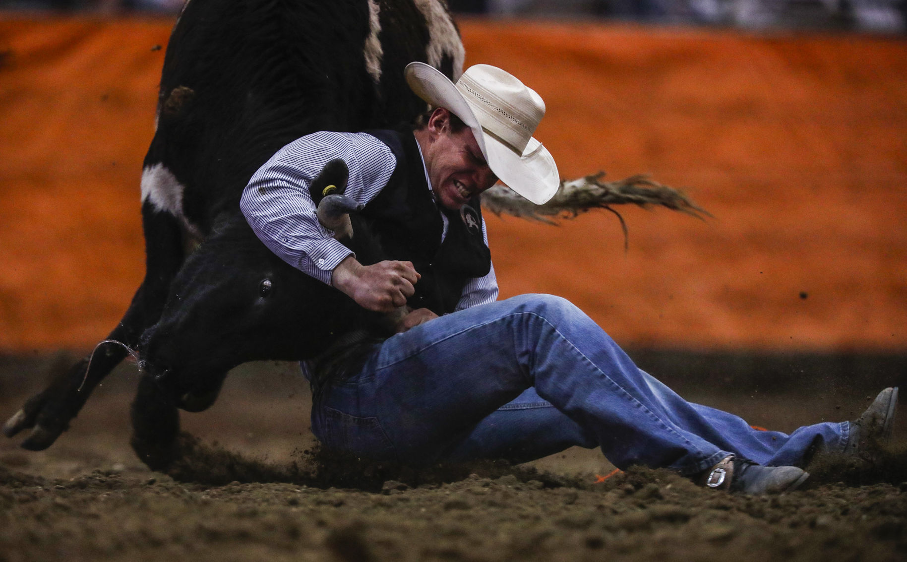 Ropin' and Riggin' Days
